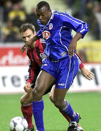 在高山峡谷 在高山峡谷